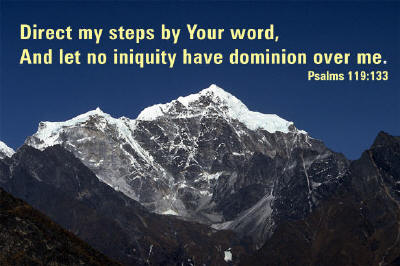 Direct my steps by Your word, And let no iniquity have dominion over me. ~ Psalms 119:133